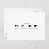 Sea Ducksロゴ（タイトル） ポストカード (正面/裏面)