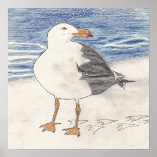 SEA GULLプリント(15x15インチ) ポスター (正面)