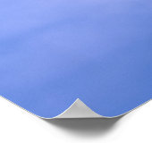 Sea gull in flight ポスター (角)