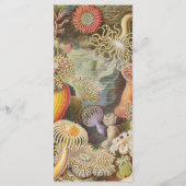 Sea Life Coral Reef Wedding Menu (裏面)