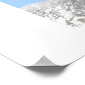 Sea Lion ポスター (角)