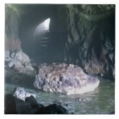 Sea Lion Cave、または タイル (正面)