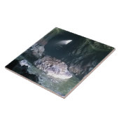 Sea Lion Cave、または タイル (側面)