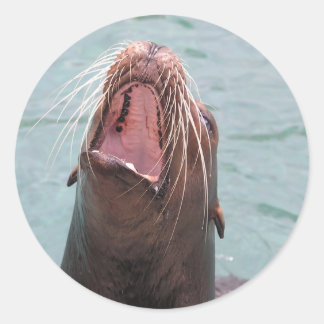 Sea Lion Mouth Open Sticker ラウンドシール