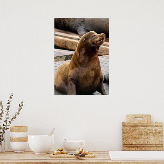 Sea Lion Print ポスター (キッチン)
