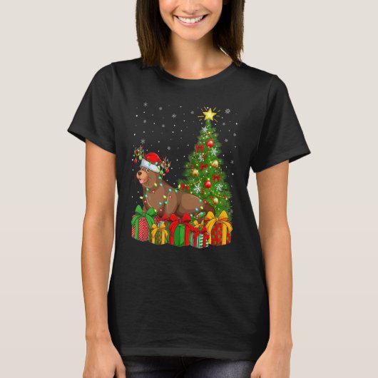 Sea Lion   Xmas Holiday Santa Sea Lion Christmas T Tシャツ (正面)