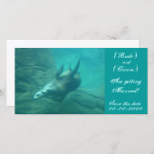 Sea Lionsカスタマイズ可能救なこの日付フォトカード セーブザデート (正面/裏面)