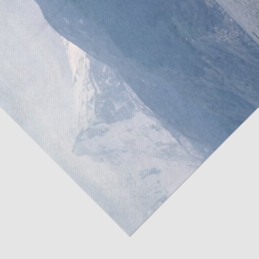 Sea lions in beagle channel - Argentina 薄葉紙 (詳細)