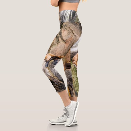 Sea Lions Laying On The Rocks カプリレギンス (左)