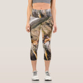 Sea Lions Laying On The Rocks カプリレギンス (正面)