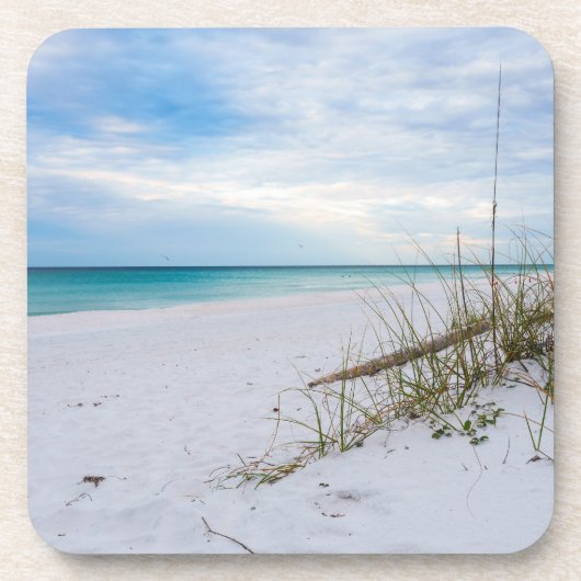 Sea Oats And White Sand Beach Morning Coaster Set コースター (正面)