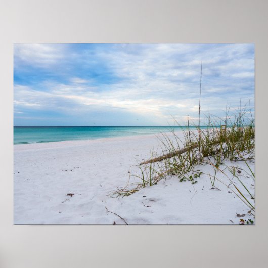 Sea Oats And White Sand Beach Morning Poster ポスター (正面)