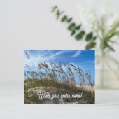 "Sea Oats" Postcard ポストカード (スタンド正面)