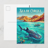 Sea of Cortez Mexico ポストカード (正面/裏面)