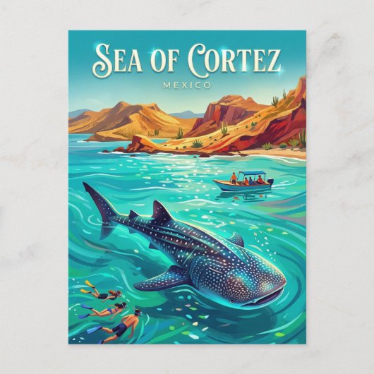 Sea of Cortez Mexico ポストカード (正面)