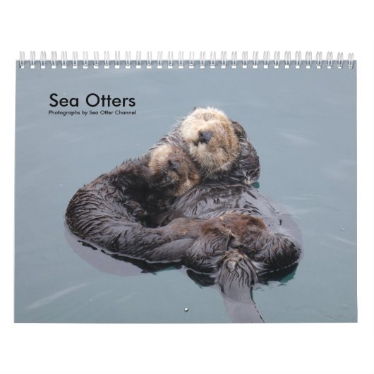 Sea Otterチャネルカレンダー#4 カレンダー (カバー)