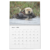 Sea Otter Channel Calendar #1 カレンダー (3月 2026)