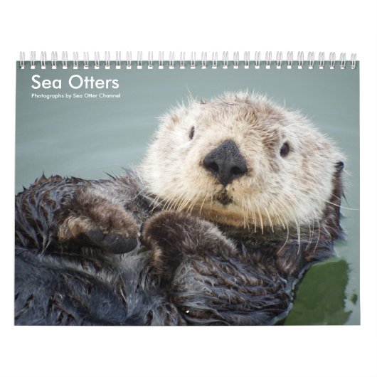 Sea Otter Channel Calendar #1 カレンダー (カバー)