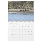 Sea Otter Channel Calendar #2 カレンダー (2月 2026)