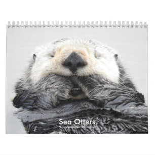 Sea Otter Channel Calendar #2 カレンダー