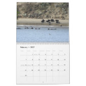Sea Otter Channel Calendar #2 カレンダー (2月 2027)