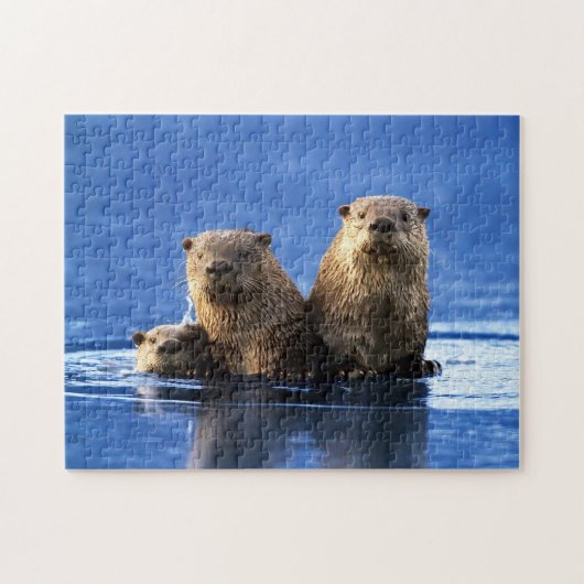 Sea Otter Family, Jigsaw Puzzle ジグソーパズル (横)