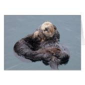 Sea Otter Mom and Pup (正面横)