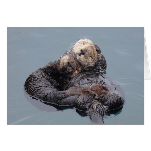 Sea Otter Mom and Pup (正面横)