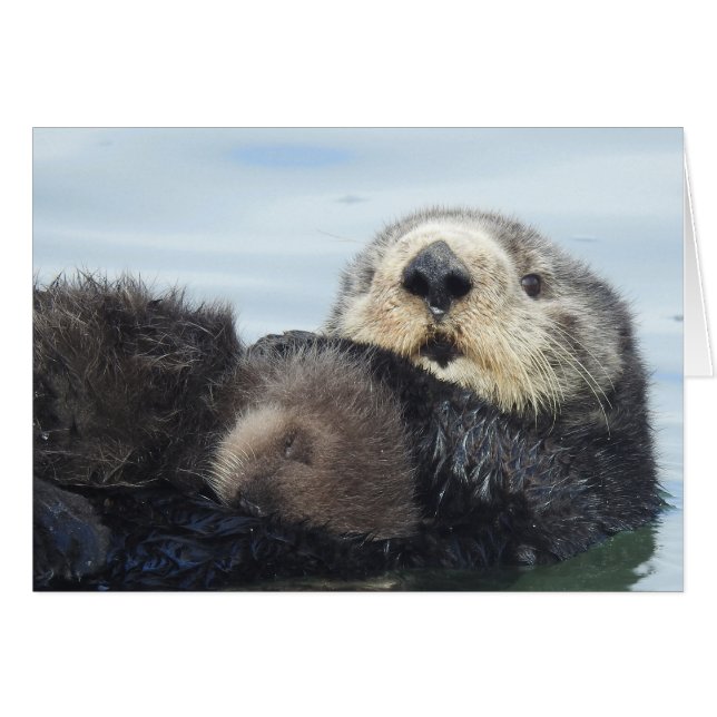 Sea Otter Mom and Pup (正面横)