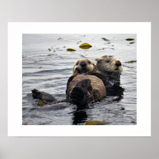 Sea Otter Mom and Pup ポスター