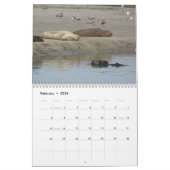 Sea Otter Mom and Pup Calendar #1 カレンダー (2月 2026)