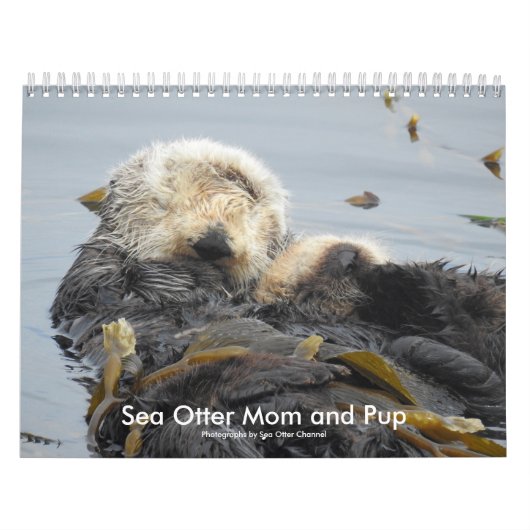 Sea Otter Mom and Pup Calendar #1 カレンダー (カバー)