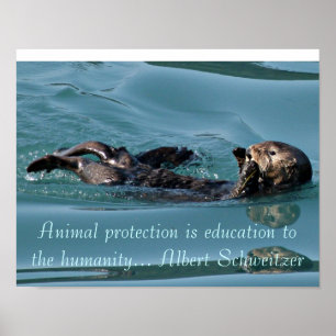 Sea otter Reflection with Famous引用文ポスター ポスター