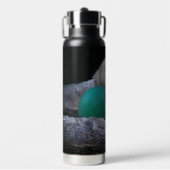 Sea Ottersよくはしゃぐ写真 ウォーターボトル (正面)