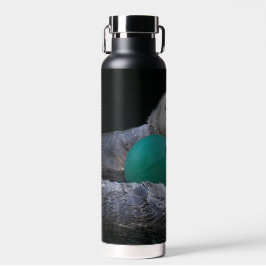 Sea Ottersよくはしゃぐ写真 ウォーターボトル