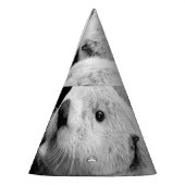 Sea Otters:白黒ペア。 パーティーハット (左)