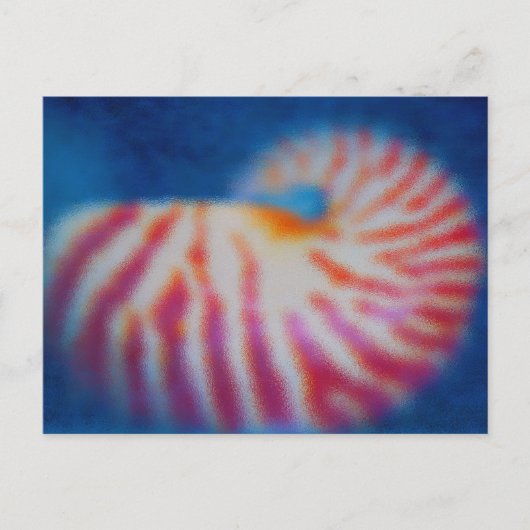 Sea Shell under Water ポストカード (正面)