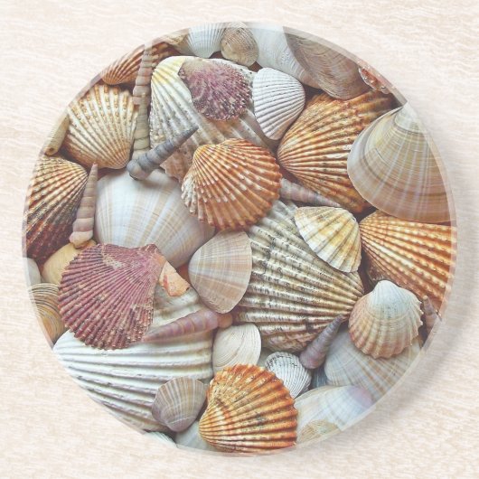 Sea Shells コースター (正面)