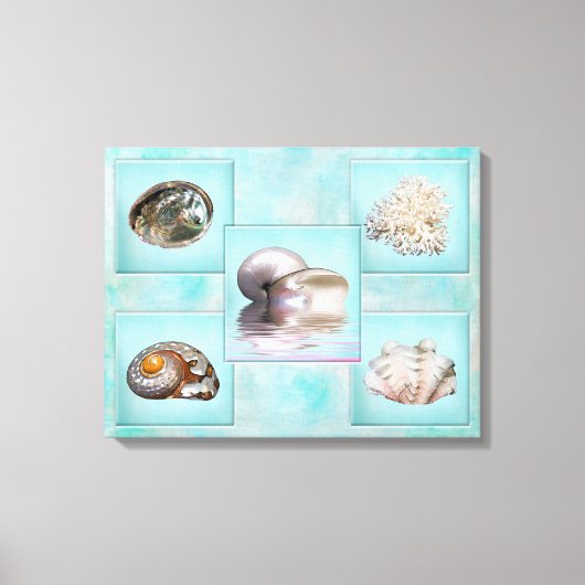 Sea Shells Canvas Print - 5画違う像 – アクア キャンバスプリント (正面)