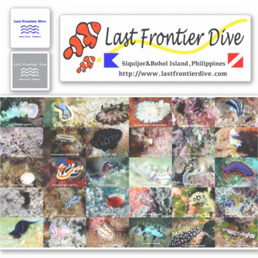 【Sea Slug】Put on Your Diving Log Book! シール (正面)