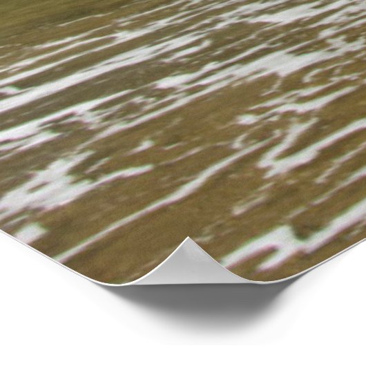 Sea Stacks, low tide, Oceanside，オレゴン，アメリカ ポスター (角)