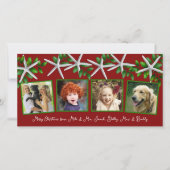 Sea Stars n Holly 4フォトファミリークリスマスホリ シーズンカード (正面)