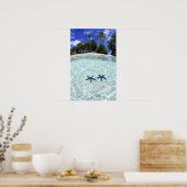 Sea stars, Rock Islands, Palau 2 ポスター (キッチン)