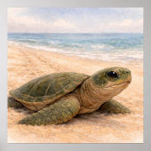 Sea Turtle Beach  ポスター (正面)