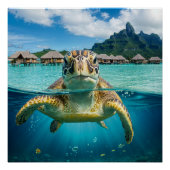 Sea Turtle in Tropical Paradise ポスター (正面)