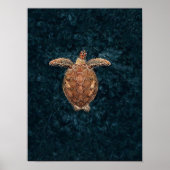 Sea Turtle Print Turtle Poster Sea Print Sea Wall  ポスター (正面)