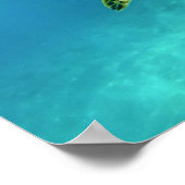 Sea Turtle swimming in turquoise ocean water ポスター (角)