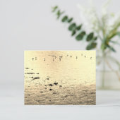 Seabirds in Sepia ポストカード (スタンド正面)