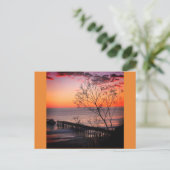 Seacliffの郵便はがきの日没 シーズンポストカード (スタンド正面)