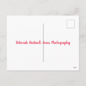 Seacliffの郵便はがきの日没 シーズンポストカード (裏面)